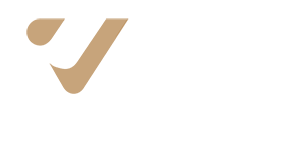 VDH TECHNOLOGY